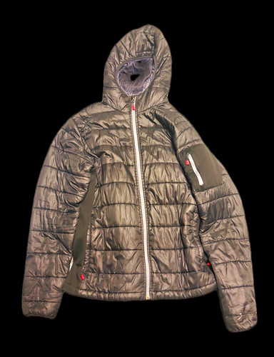 The north face men - the, gray