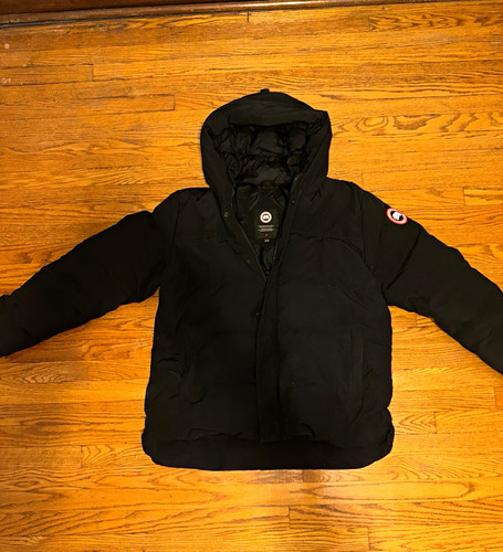 Canada goose arctic program - canada,